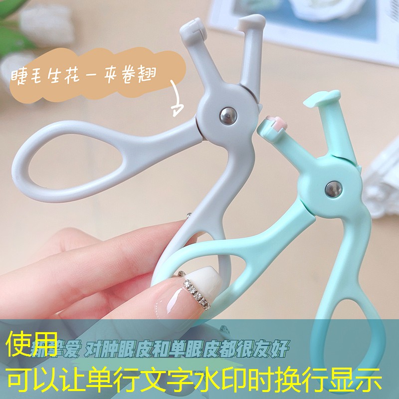 园林管理乱象曝光，专家敦促加强责任追究